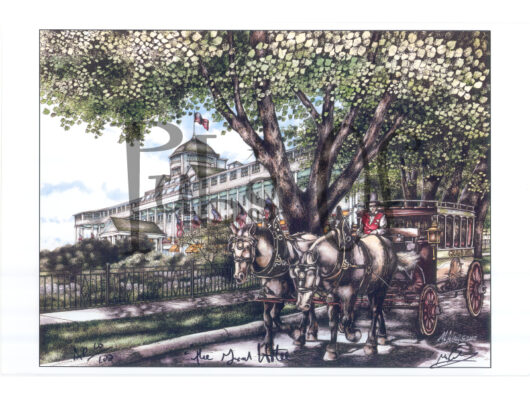 Illustration of a horse-drawn carriage in front of a grand building with a large tree and blooming flowers.