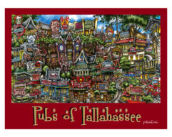 Colorful illustration of various fictional pubs in tallahassee with a whimsical, detailed style featuring vibrant signs and quirky architectural designs.