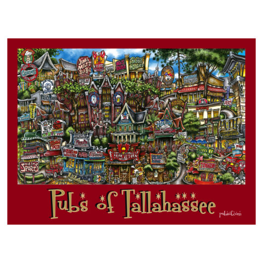 Colorful illustration of various fictional pubs in tallahassee with a whimsical, detailed style featuring vibrant signs and quirky architectural designs.