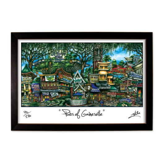 Colorful, artistic depiction of gainesville's iconic locations and pubs in a framed print, titled "pubs of gainesville.